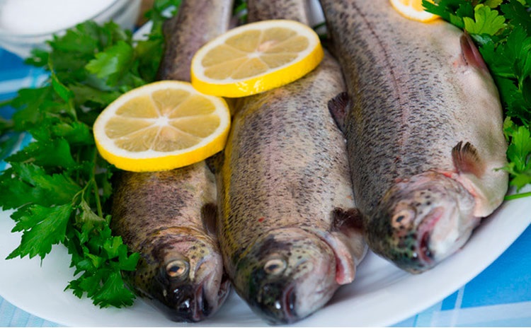 диетические сорта рыбы